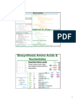 38 AminoAcidBiosynthesis 3