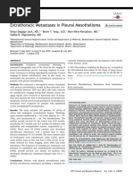 Mets Mesotelioma