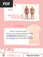 Pink Illustrative The Human Body Presentation