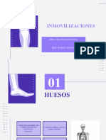 INMOVILIZACIONES