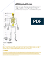 The Skeletal System