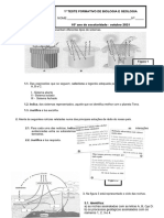 Ficha Geologia