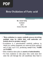 Beta Oxidation