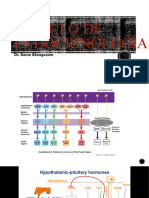 Endocrinologia