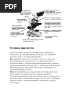 Partes Del Microscopio