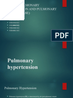 Pulmonary Hypertension