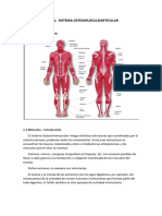 Tema 1. Sistema Osteomusculoarticular