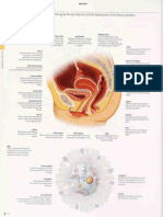 P 171-172 Merriam-Websters Visual Dictionary by Merriam-Webster