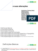 Psicopa.-A Orient. e Suas Alterações - SMNR PDF