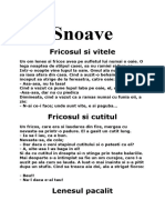 Snoave Planificare