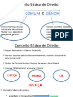 Introdução Ao Estudo Do Direito Positivo