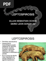 Leptospirosis