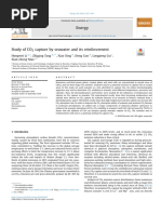 Study of CO2 Capture by Seawater and Its Reinforcement