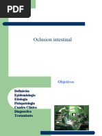 Oclusion Intestinal