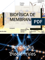 1 e - Potenciais Bioelétricos - Slides