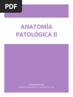 Apuntes Anatomía Patológica 2