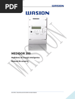 AMeter300-DC User Manual - Wasion Trifasico - En.es