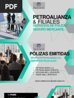 Petroalianza Mercantil