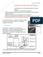 Role Du Muscle Strie Squelettique Dans La Conversion de L Energie Cours 3