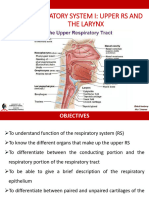 Repiratory System I - 2023