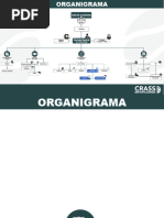 ORGANIGRAMA