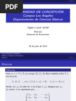 Matrices y Sistemas de Ecuaciones