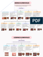 Lesiones Elementales