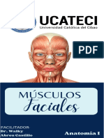 Músculos Faciales