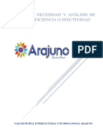 Informe de Necesidad Y Análisis de Beneficio, Eficiencia O Efectividad