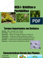 Briófitas e Pteridófitas IU 20