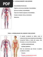 Tema 1. Sistema Circulatorio. Corazón - 2024-02-07 16-22-58