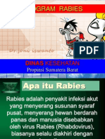 Program Rabies Di Puskesmas