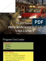 Program Usila Di Puskesmas