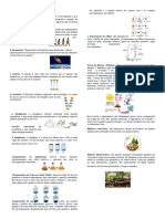 Mapa Mental2