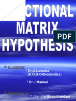 Functional Matrix Hypothesis