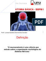 Neuroanatomia SNC BBPMI