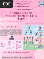 Embriología y Anatomia Del Sistema Genital Femenino