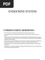 Endocrine System