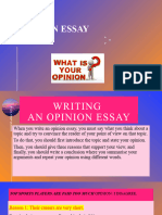 Opinion Essay1