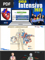 Aparato Cardiovascular