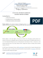 Chapter 9 (Protein Synthesis)