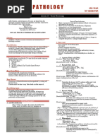 L13. Tissue Processing