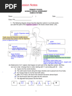 L9 - P5 WS - Circulatory System Open Ended