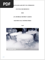 DIFERENCIA DE GASES OFN Y EL NITROGENO Tarea de Isaac Maestro