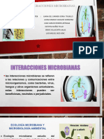 Interacciones Microbianas