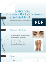 1.clase Anatomia, Embriologia e Histologia de La Piel Estrada