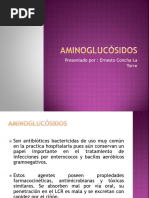 AMINOGLUCASIDOS