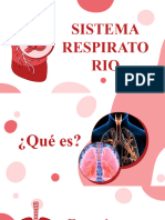 Sistema Respiratorio