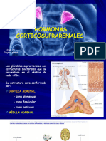 Hormonas Corticosuprarrenales