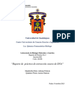 Reporte de Práctica. Quintero Flores Aurora Denisse